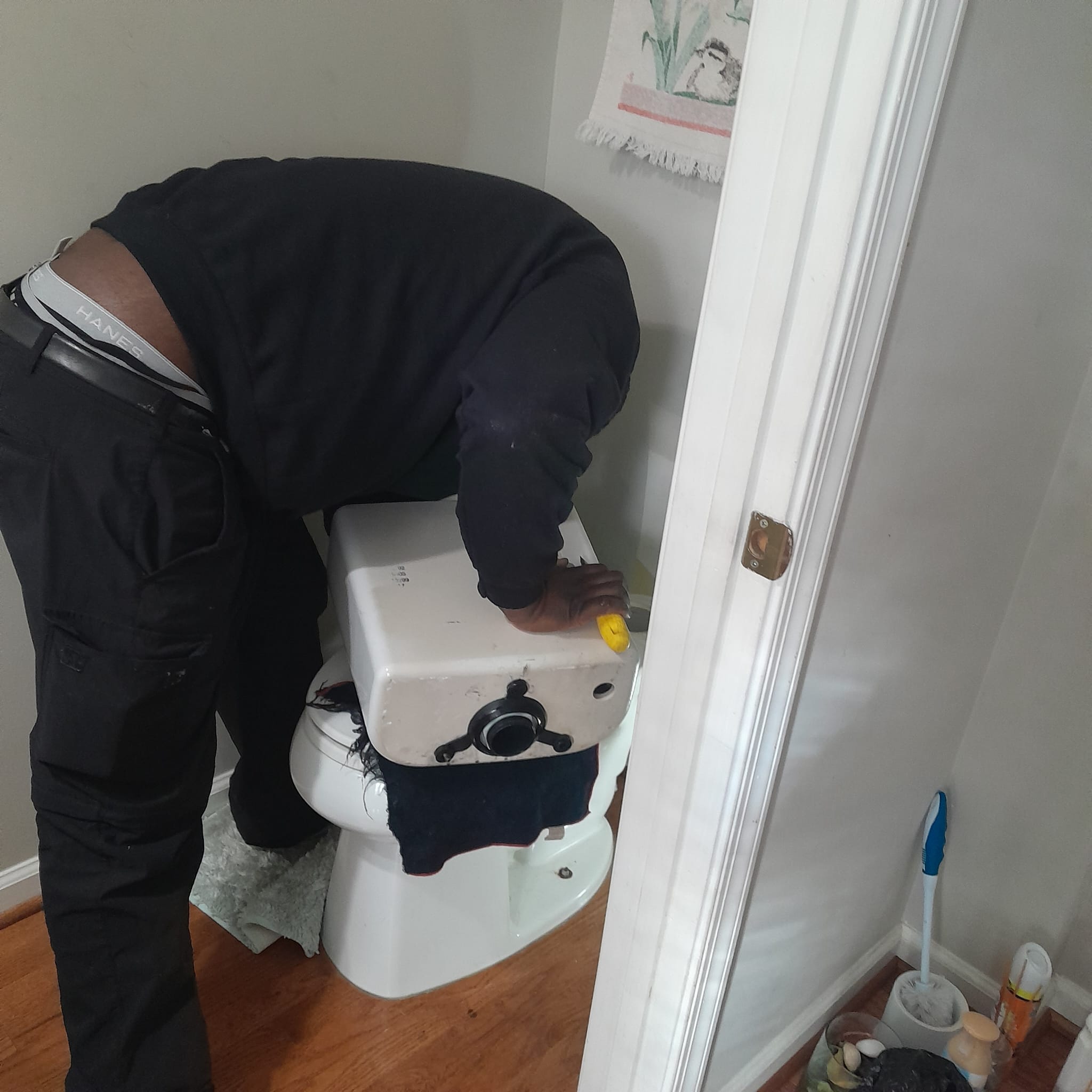 Toilet Repair